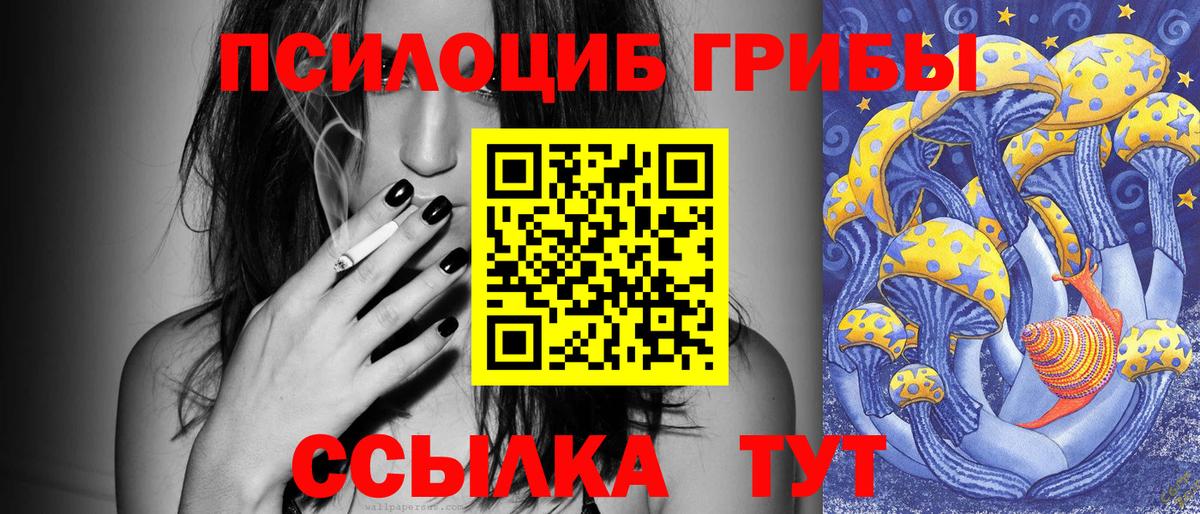 купить наркотики сайты  Галлюциногенные грибы Cubensis  Вход с VPN  Ангарск 